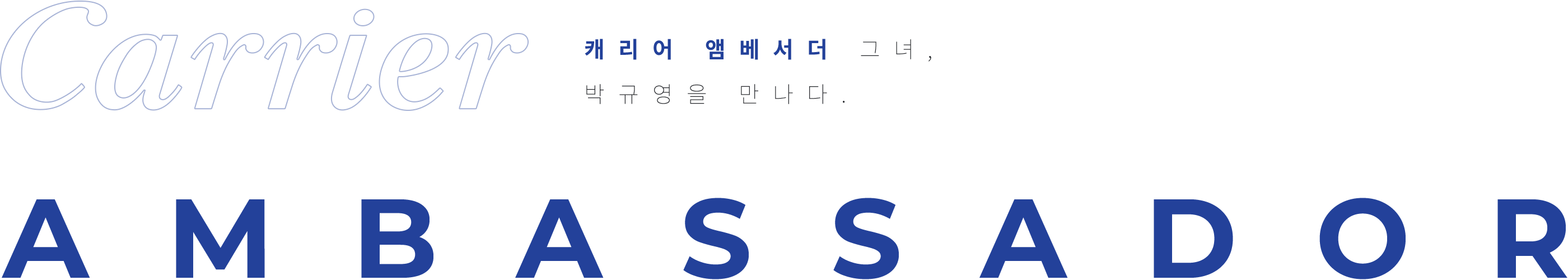Carrier Ambassador 캐리어 앰베서더 그녀, 박규영을 만나다.